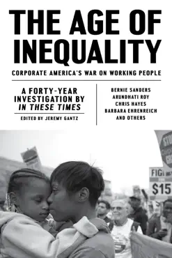 the age of inequality book cover image