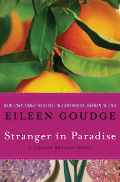 stranger in paradise book cover image
