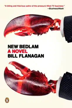 new bedlam book cover image