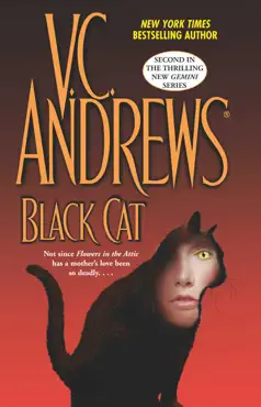 black cat book cover image