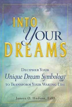 into your dreams book cover image