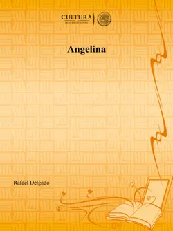 angelina book cover image