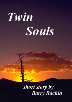 twin souls book cover image