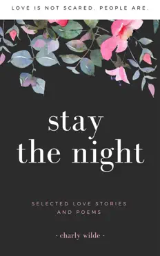 stay the night book cover image