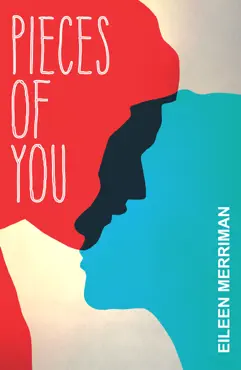 pieces of you book cover image