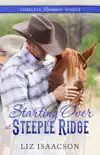Starting Over at Steeple Ridge e-book