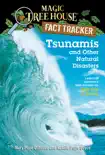 Tsunamis and Other Natural Disasters synopsis, comments