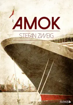amok book cover image