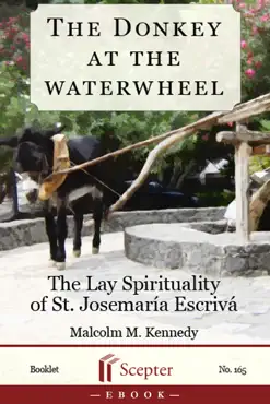 the donkey at the waterwheel book cover image