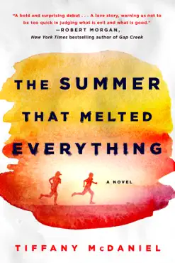 the summer that melted everything book cover image