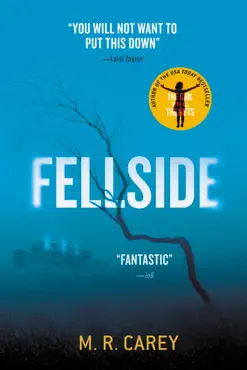 fellside book cover image