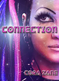 connection book cover image