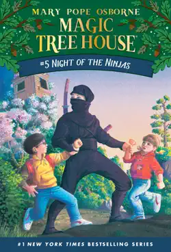 night of the ninjas book cover image