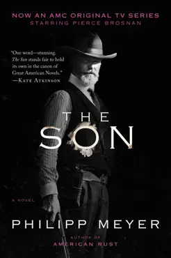 the son book cover image
