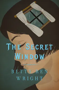 the secret window book cover image