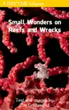 Small Wonders on Reefs and Wrecks synopsis, comments