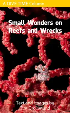 small wonders on reefs and wrecks book cover image