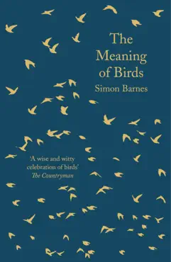 the meaning of birds imagen de la portada del libro