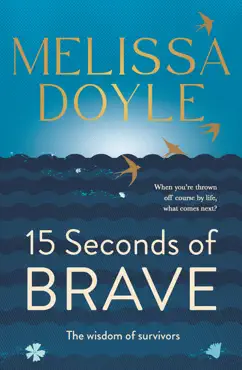 fifteen seconds of brave book cover image
