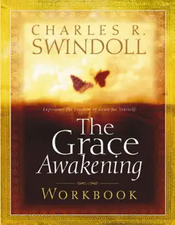 the grace awakening workbook book cover image