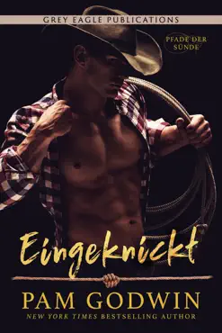 eingeknickt book cover image