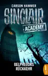 Sinclair Academy - 13 synopsis, comments