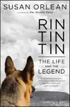 Rin Tin Tin synopsis, comments