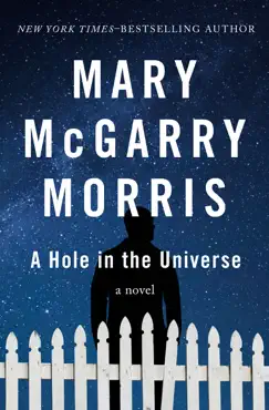 a hole in the universe book cover image