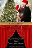 Curtain Calls and Christmas Wishes synopsis, comments