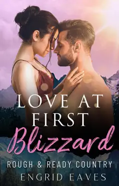 love at first blizzard book cover image