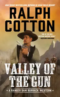 valley of the gun book cover image