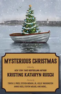 mysterious christmas book cover image