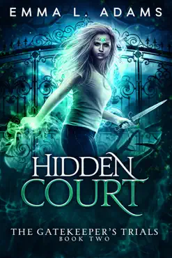 hidden court book cover image