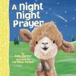 a night night prayer book cover image