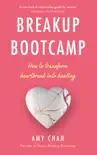 Breakup Bootcamp sinopsis y comentarios
