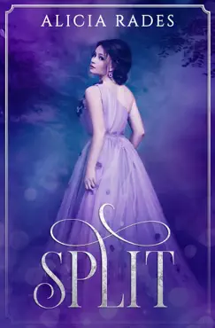 split book cover image