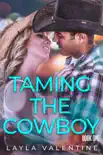 Taming The Cowboy synopsis, comments
