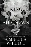 King of Shadows synopsis, comments