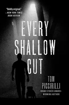 every shallow cut book cover image