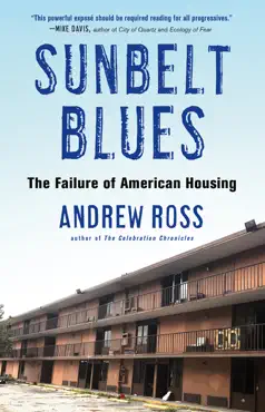sunbelt blues book cover image