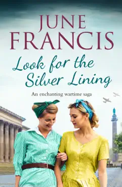 look for the silver lining book cover image