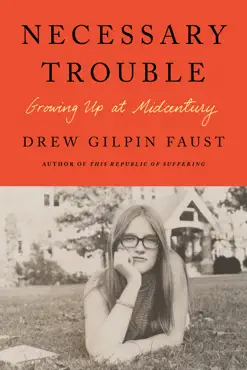 necessary trouble book cover image