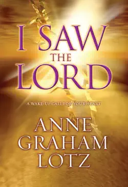 i saw the lord book cover image