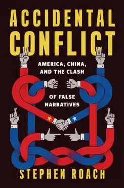accidental conflict book cover image