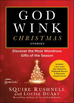 godwink christmas stories book cover image