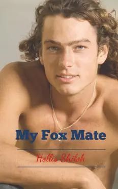 my fox mate book cover image