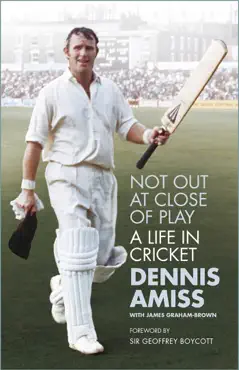 not out at close of play book cover image