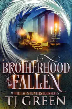 brotherhood of the fallen book cover image