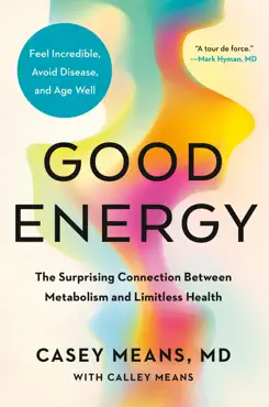 good energy book cover image