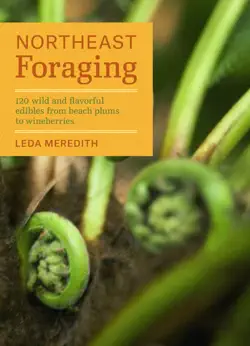 northeast foraging book cover image